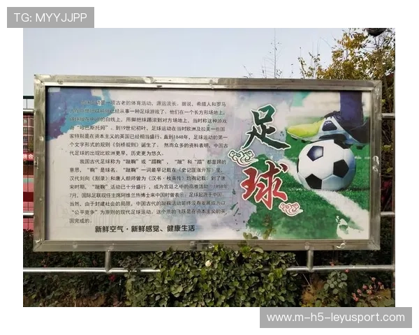 中国足球青少年足球活动走进校园和社区，中国青少年校园足球活动标志含义