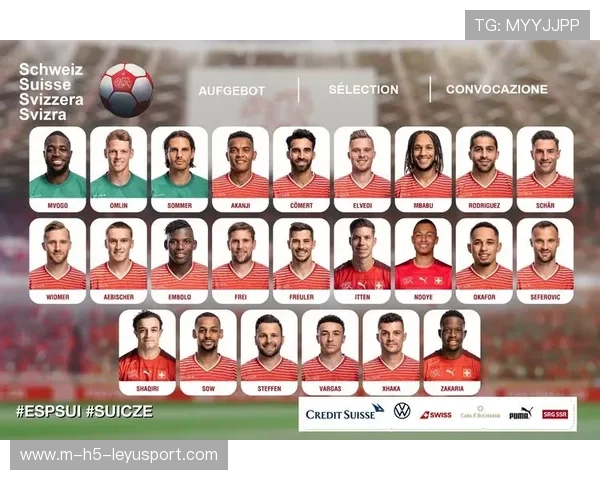 国家队大名单是否反映球员真实状态,国家队人员名单和国家队大名单有什么区别