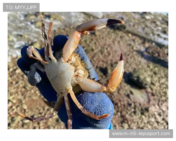 台风后惠州赶海火爆，海鲜成热点话题，惠州赶海时间表2020