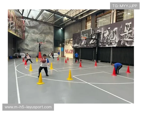 篮球在中国城市青少年暑期托管服务中的应用模式，少儿篮球培训行业现状