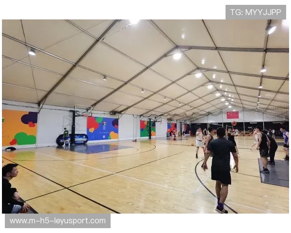 篮球场地在中国城市公共空间中的使用效能，篮球场是公共场合吗